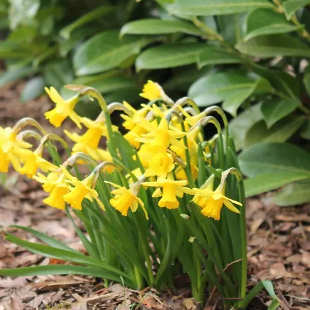 In In Der N He Des Glammsees Apartment Warin