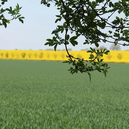 In In Der N He Des Glammsees