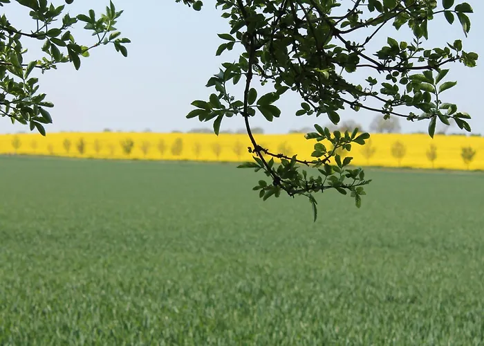 In In Der N He Des Glammsees